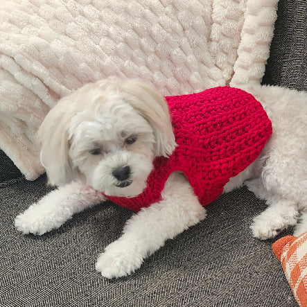 knit puppy cloth