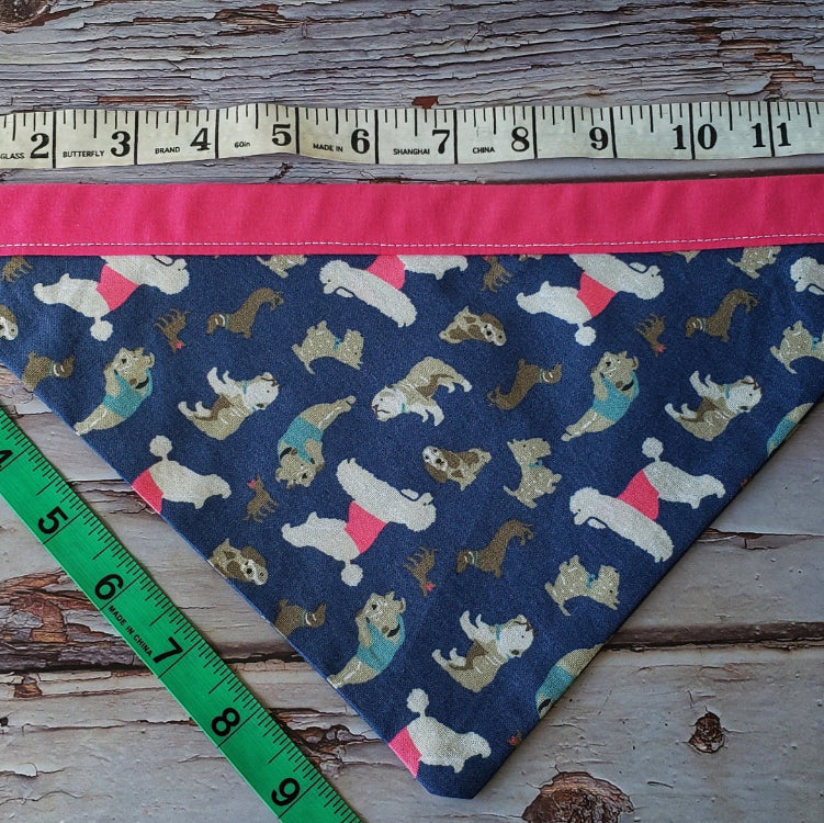 dog bandana