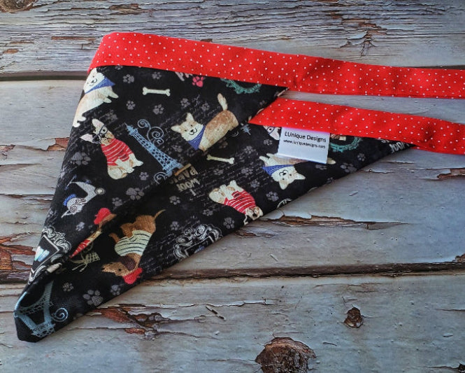 dog bandana, Torre Eiffel