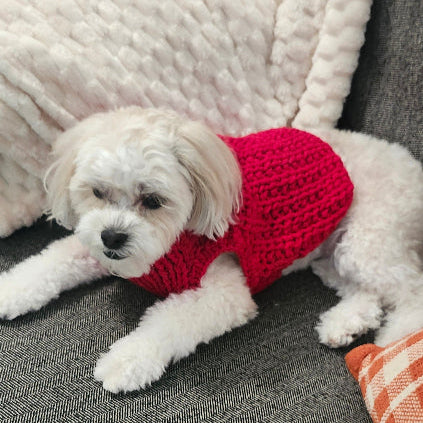 puppy knit cloth